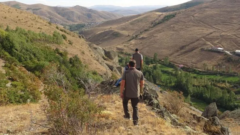 Annesiz Yavru Ayı Köyü Karıştırdı! Bayburt'ta Neler Oluyor?