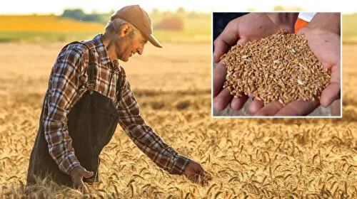 Çiftçiler dikkat: Tohum desteği için son başvuru tarihi belli oldu