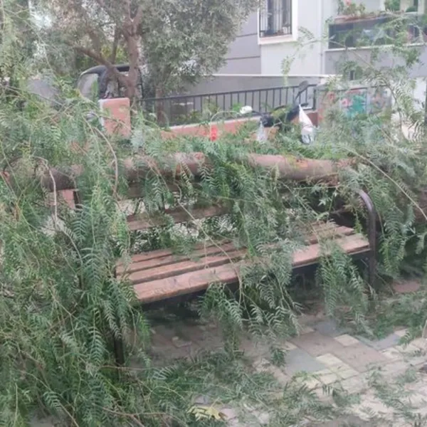 Çocuk parkında ağaç devrildi: 2 yaralı