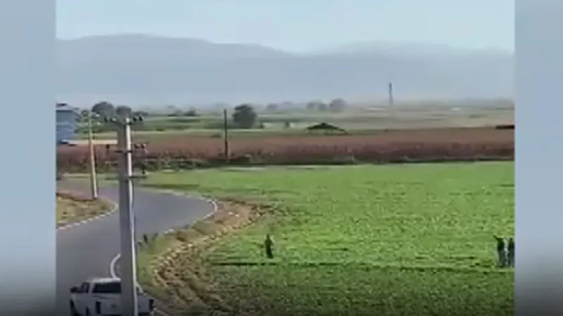 İzmir'de helikopter düştü