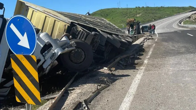 Kurbanlıkları taşıyan tırın devrilmesi sonucu onlarca koyun telef oldu