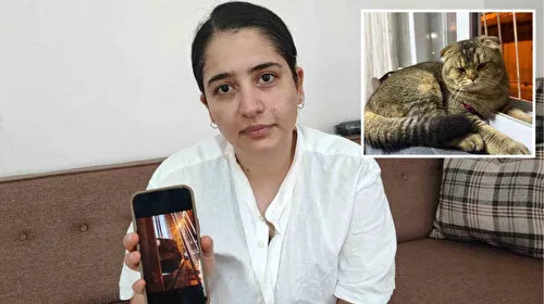 Adana'da kayıp kedi krizi: 'Diablo' bulunmazsa evlilik bitecek