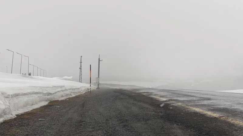 Ardahan'da kar yağışı; kara yolu karla kaplandı, görüş mesafesi düştü