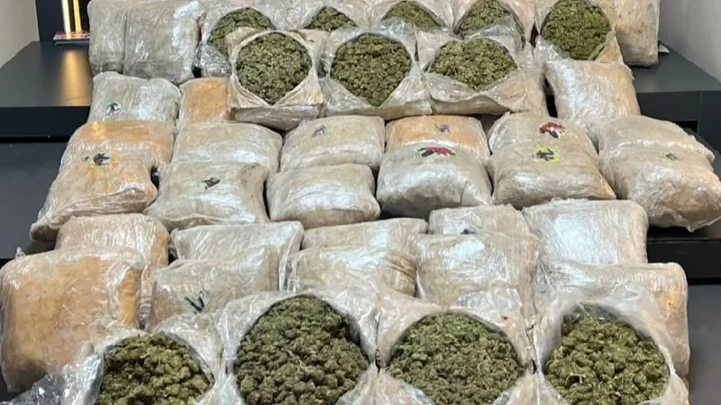 Batman'da otomobilde 39 kilo 400 gram skunk ele geçirildi
