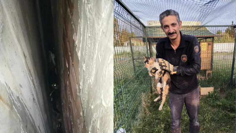 Bina boşluğuna düşen kedi, 7 saatlik operasyonla kurtarıldı
