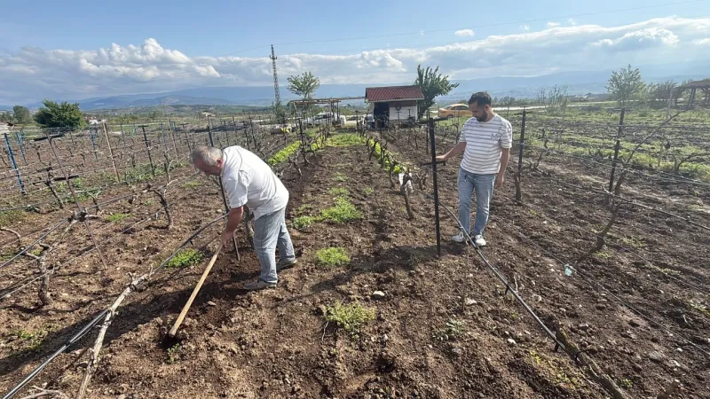 Büyük afet yaşayan çiftçiler mahsullerini kurtarmak için çabalıyor