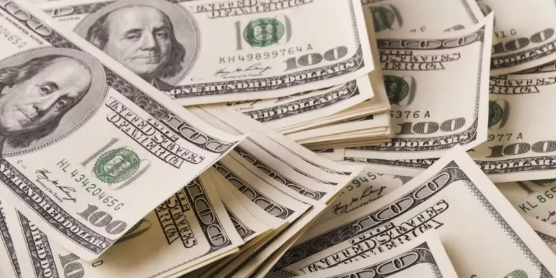 Commerzbank analisti Tatha Ghose: Dolar/TL istikrarlı bir şekilde yükselecek