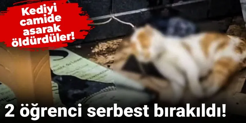 Kediyi camide asarak öldürdüler! 2 öğrenci serbest bırakıldı
