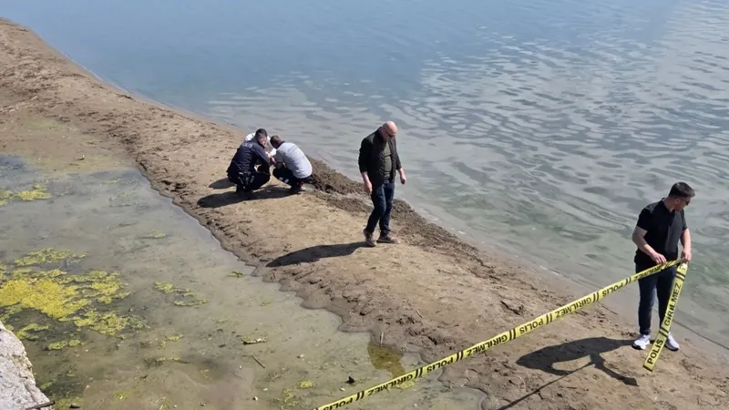 Piknik yapan ailenin çocuğu buldu; bölgede 3 gün arayla ikinci tehlike!