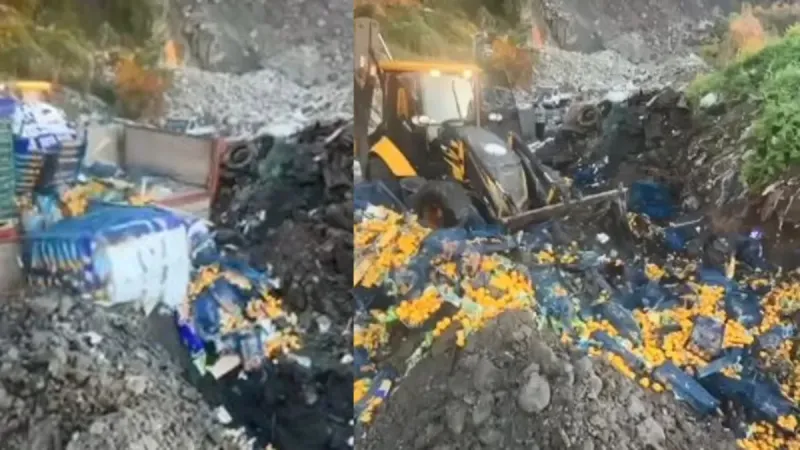 Zirai ilaç kalıntısı tespit edildi! 6,1 ton mandalina imha edildi